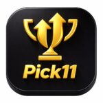 pick11 Game