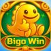 bigowin Game , bigowin apk,bigowin app